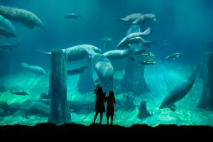 Singapore River Wonders