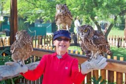 Recommendation: World of Birds Wildlife Sanctuary and Monkey Park (stop 22)