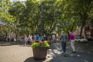 Scenic Seattle City Tour