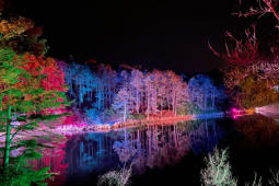 Recommendation: Illuminate at The Blue Pool