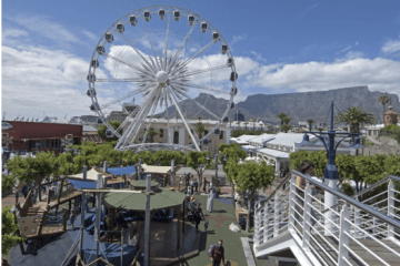 Joburg stop of the month: BODY WORLDS Vital
