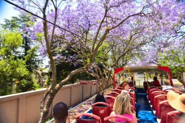 CITYRUN to affect Joburg's Red City Tour route on Heritage Day
