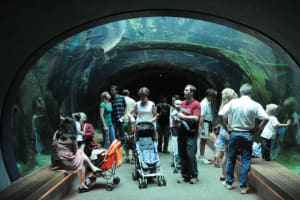 A great place for adults and kids