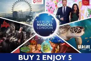 The Ultimate London Experience with 24 Hours Bus Ticket