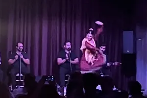 Private Barcelona Night Tapas Tour with Flamenco Show