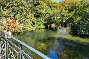 Bike Path Along the River