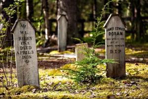 Undiscovered Dyea Tour