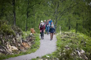 Highland Adventure: Lochs, Waterfalls and Rewilding Experience from Inverness