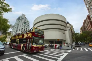 Big Bus Discover Plus 1 Attraction