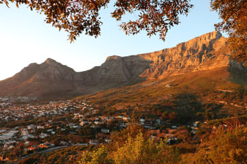 See What’s On in Cape Town this Autumn with City Sightseeing