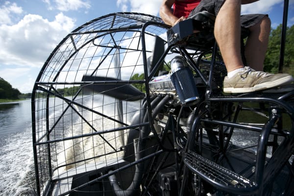 Speed along the water on an airboat for 30 minutes