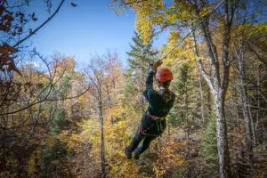 Zipline, Tree climbing and combos