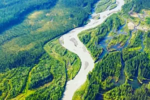 Arctic Circle Adventure From Fairbanks