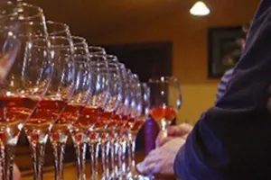 TEST San Francisco Tower Tours Wine Country Tour