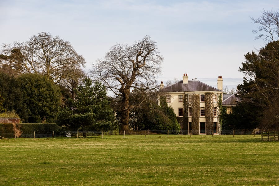Main Image