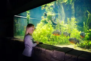 London Aquarium