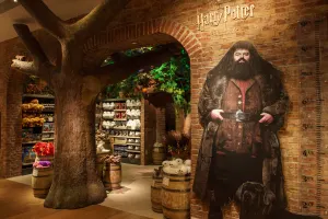 15% off Harry Potter NY Store