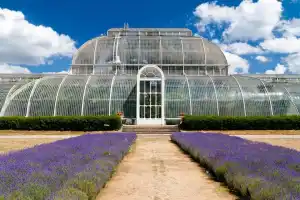 Kew Gardens