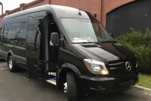 GO Airlink - Sprinter 13 Pax