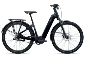 Electric Recreational Bike - Rental