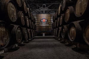 The best Port Wine cellars in Gaia