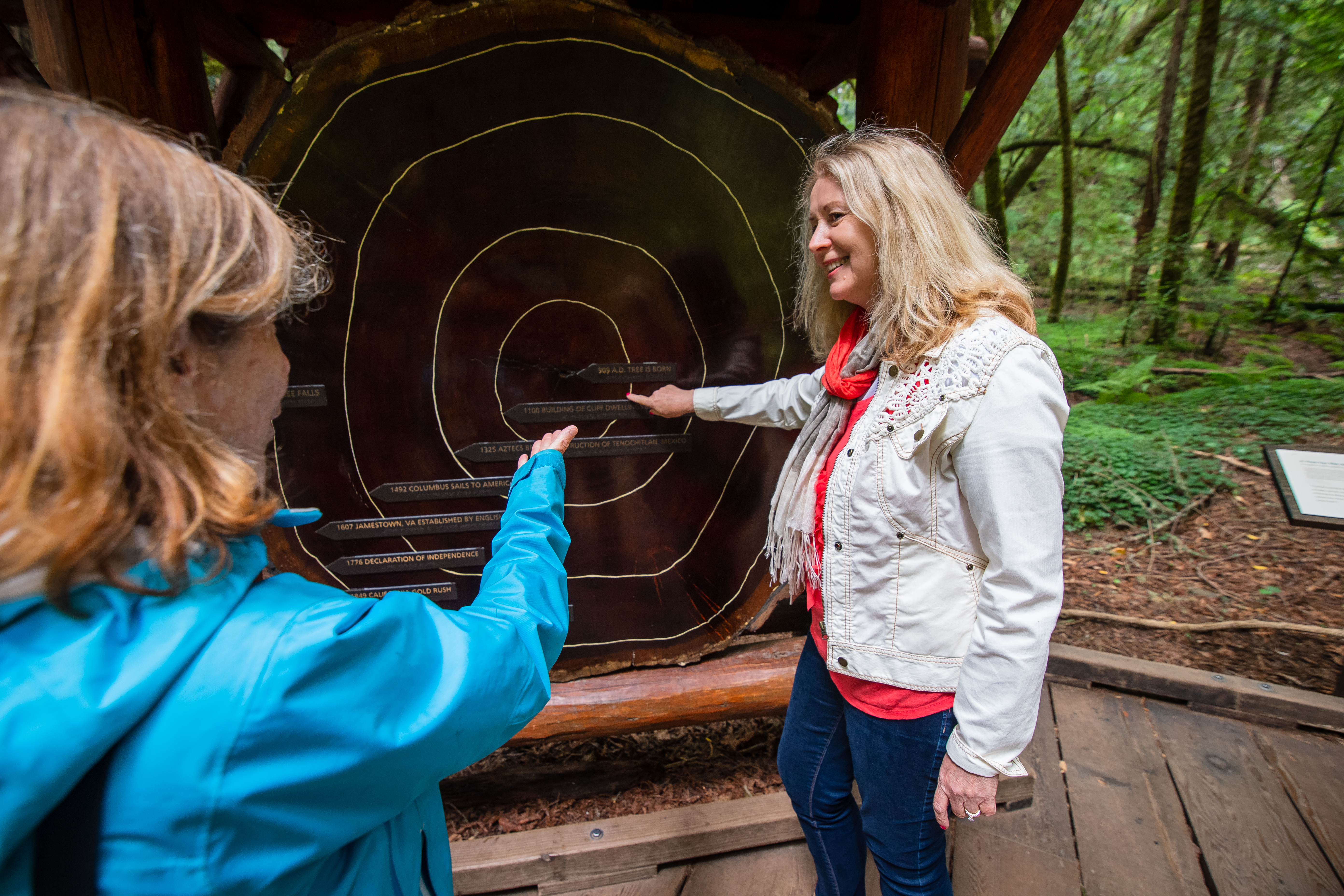 Excursión por la Mañana a Muir Woods y Sausalito - Alojamientos en San Francisco