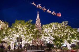 Los Angeles Holiday Lights Tour