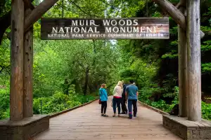 Muir Woods Redwood Forest and Sausalito Morning Tour with Park Admission & Ferry Ticket