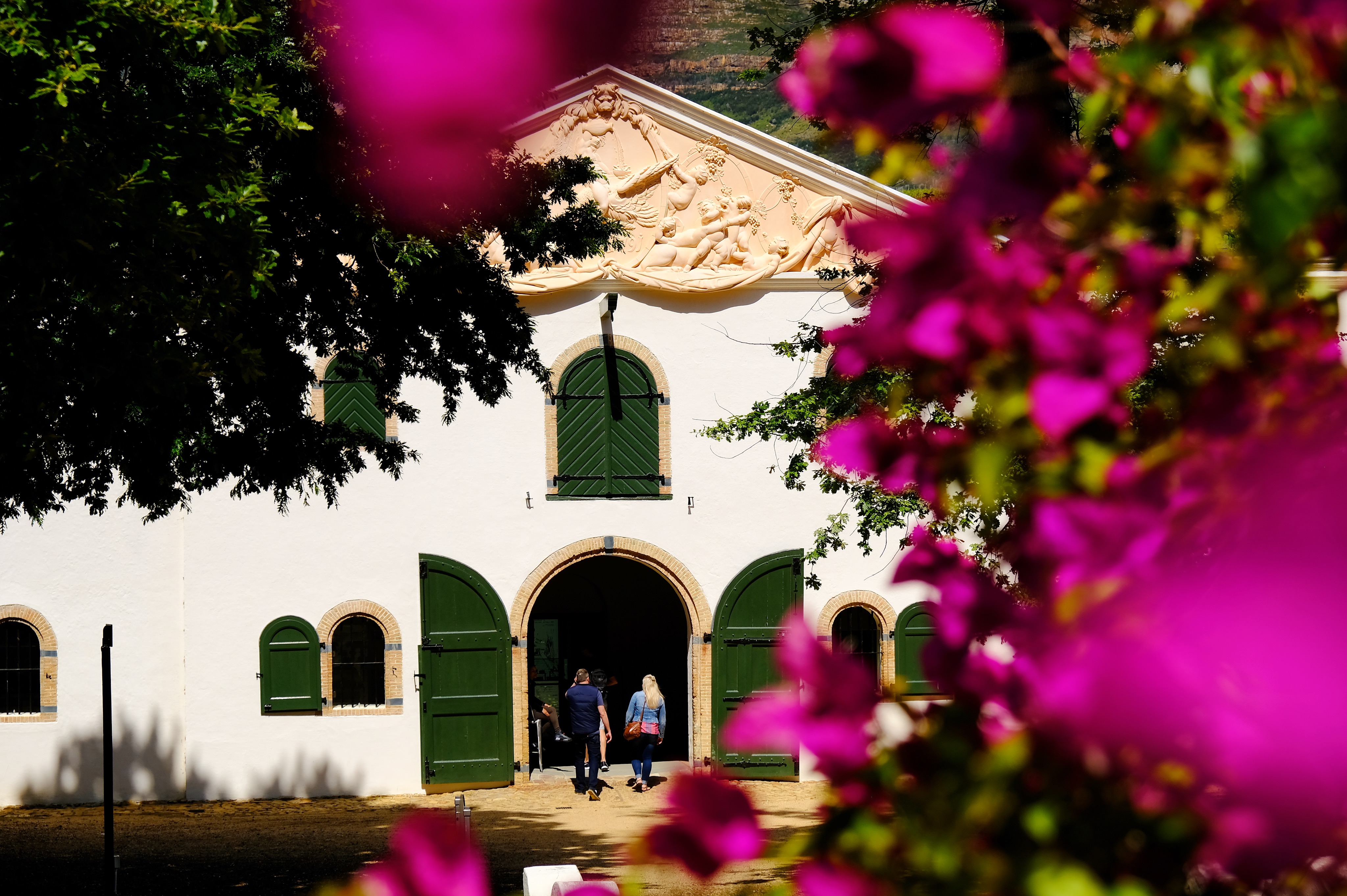 Groot Constantia Wine