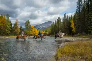 Sulphur Mountain Ride 4hr