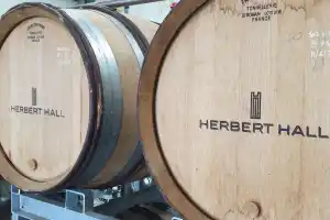 English Wine Tours