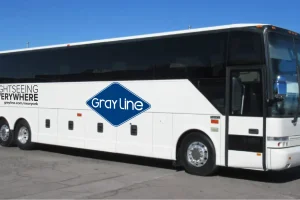 Gray Line Guided NYC Premium Bus Tour