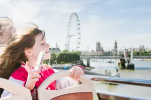 Big Bus London 48-Hour Hop-on, Hop-off Tour with Night Tour