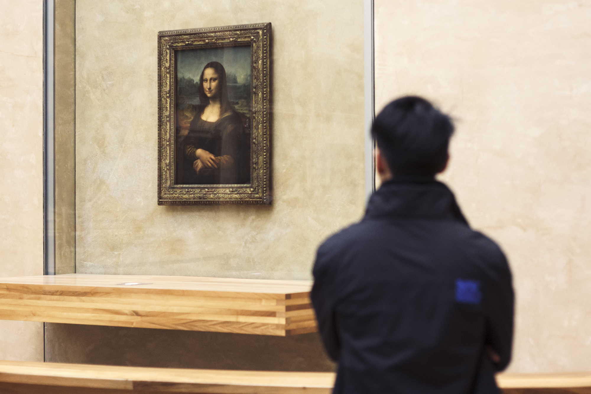 Closing Time at the Louvre: The Mona Lisa at Her Most Peaceful in Small Group - Alojamientos en Paris