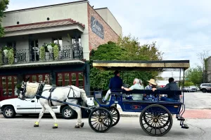 Private Evening Carriage Tour & Dinner Drop Off