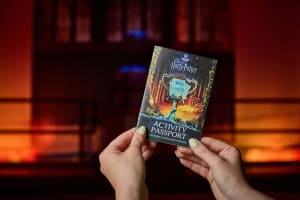 Triwizard Tournament