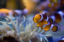 Recommendation: Two Oceans Aquarium