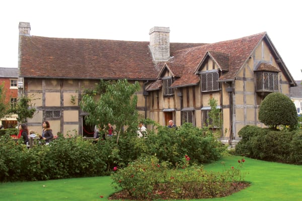 Main Image