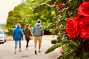 Walking through the Wineries