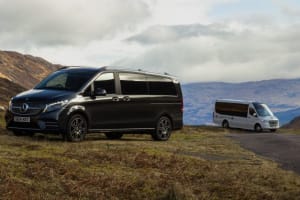 Executive Vehicle & Small Coach