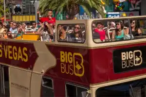 Las Vegas Big Bus Discover 1 Day Ticket