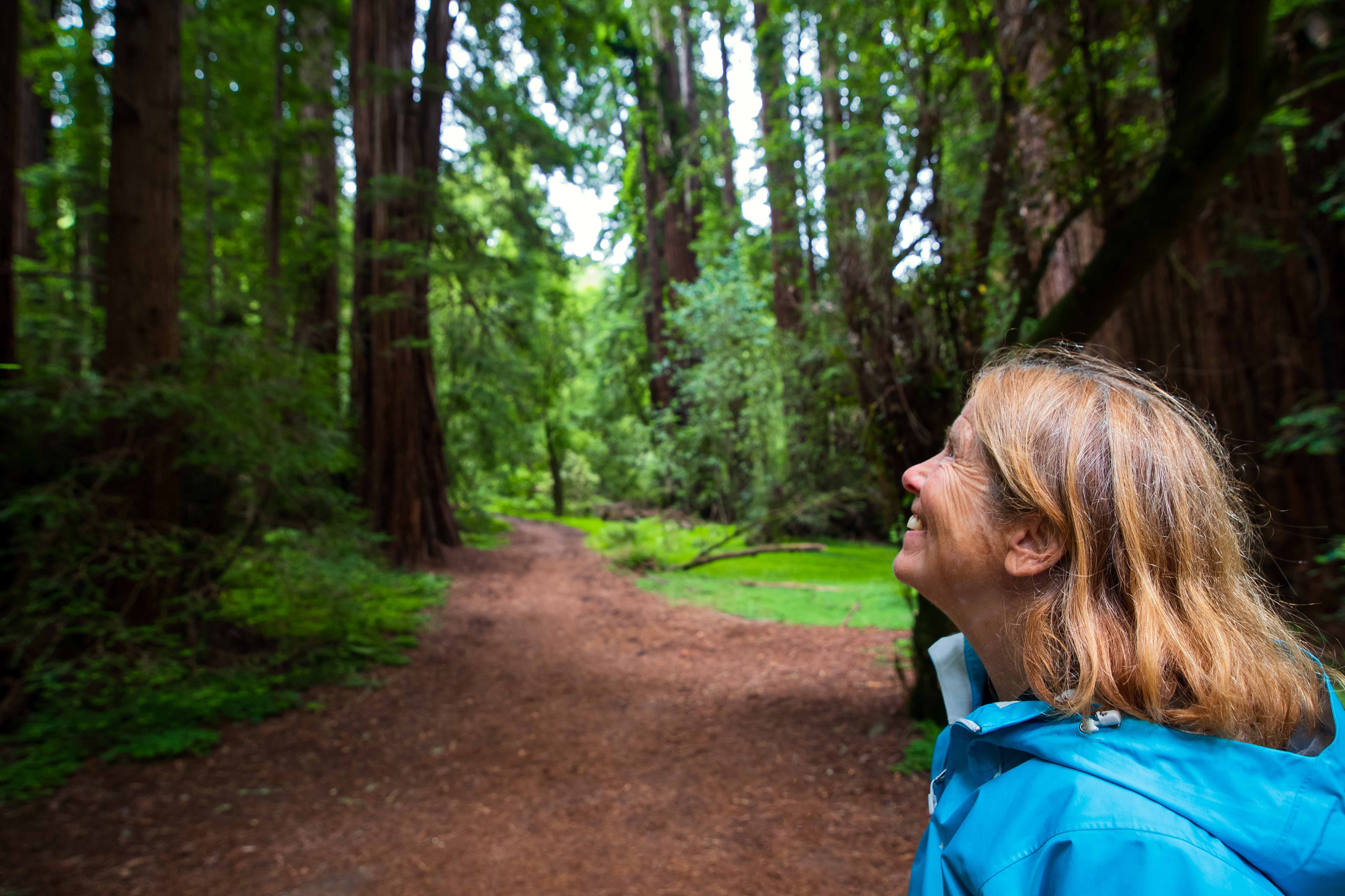 Afternoon Tour to Muir Woods and Sausalito - Accommodations in San Francisco