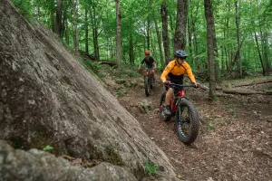 Electric Fat Bike - Rental