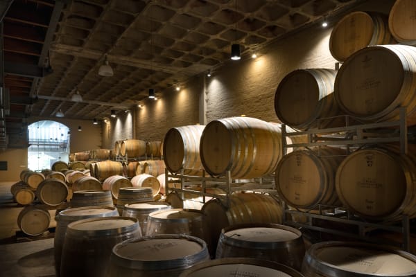 The Wine cellar