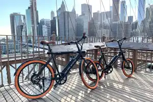 Brooklyn Bridge Guided Bike Tour by Fancy Apple