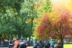 Central Park in Autumn