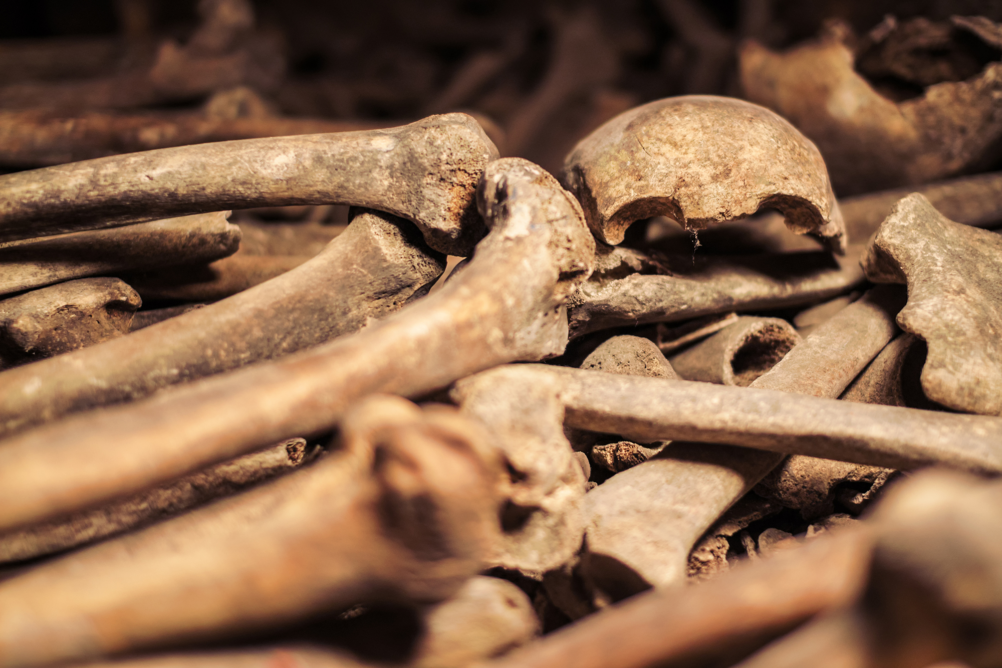 Skip-the-Line Paris Catacombs Special Access Tour in Small Group - Alojamientos en Paris
