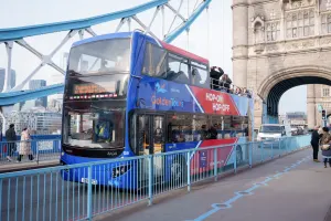 1 Day Hop-on Hop-off London Bus Tour & St Paul's Cathedral & Tower Bridge