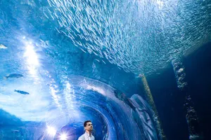 San Francisco Aquarium of the Bay