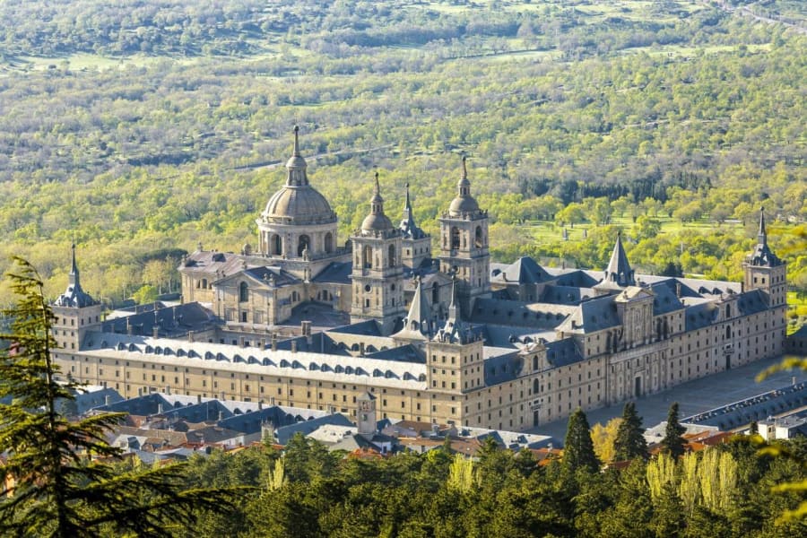 Main Image